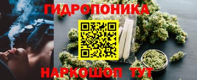 кокс Пугачёв
