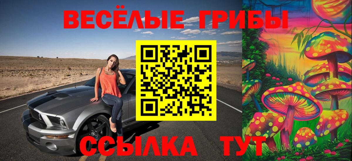 Ахтубинск  цена   Вход с VPN  Галлюциногенные грибы мицелий 