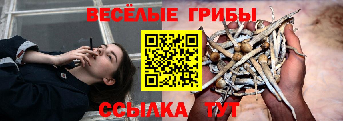 Псилоцибиновые грибы Magic Shrooms Ахтубинск